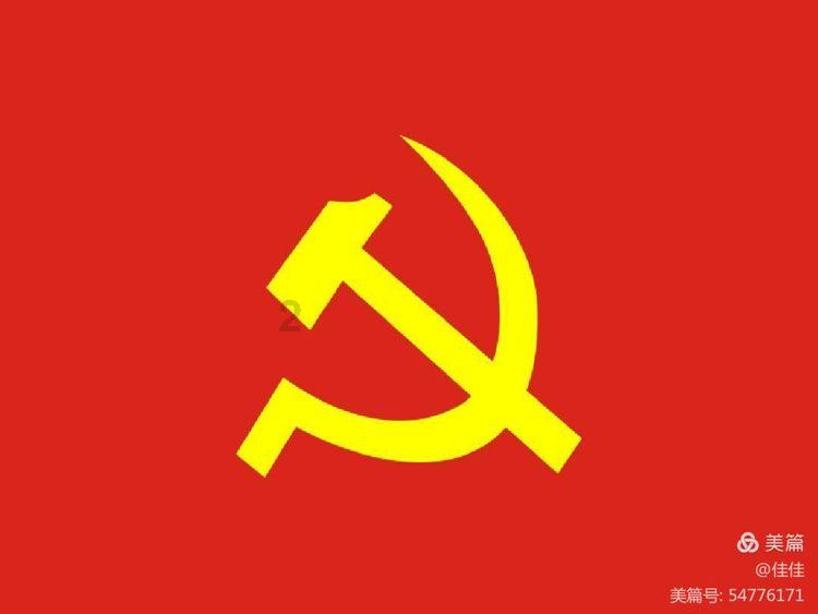 小仓鼠吃瓜子